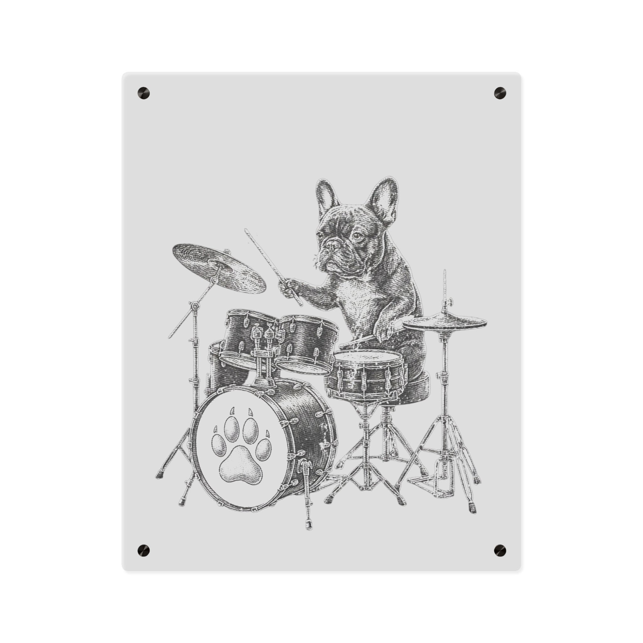 French Bulldog Playing Drums Acrylic Wall Art Panel