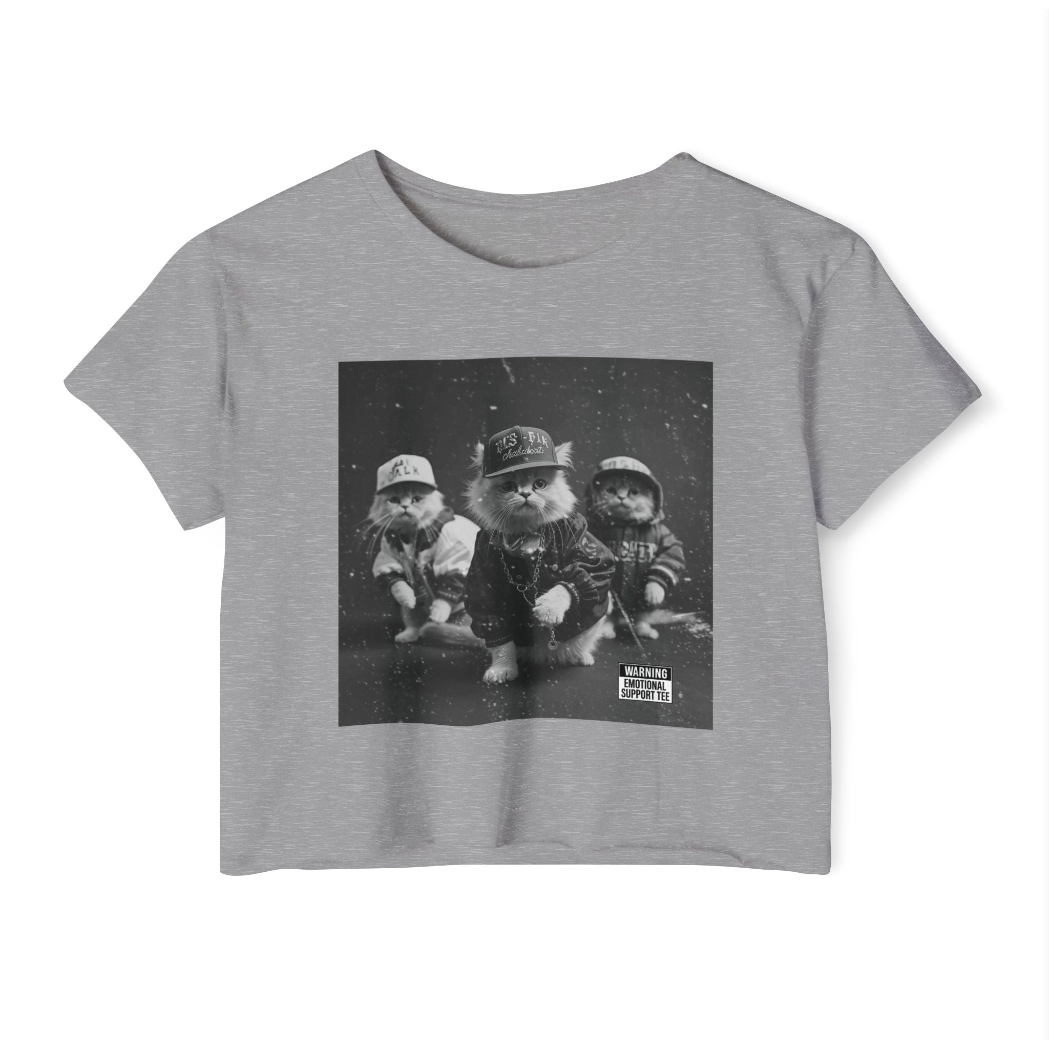 Hip Hop Kittens 90s Album Cover Crop Top | Funny Cat Graphic Tee – 3D Sons Supply Co
