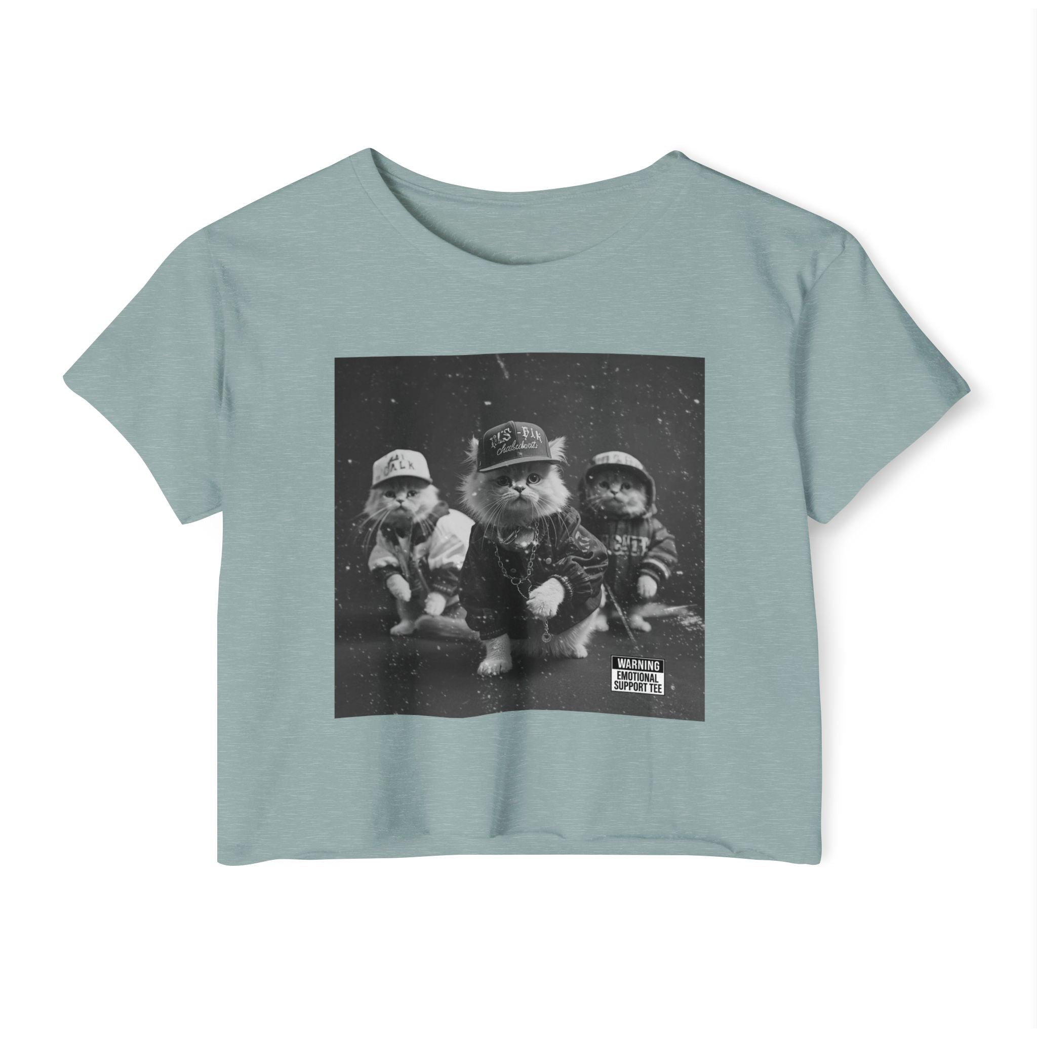Hip Hop Kittens 90s Album Cover Crop Top | Funny Cat Graphic Tee – 3D Sons Supply Co