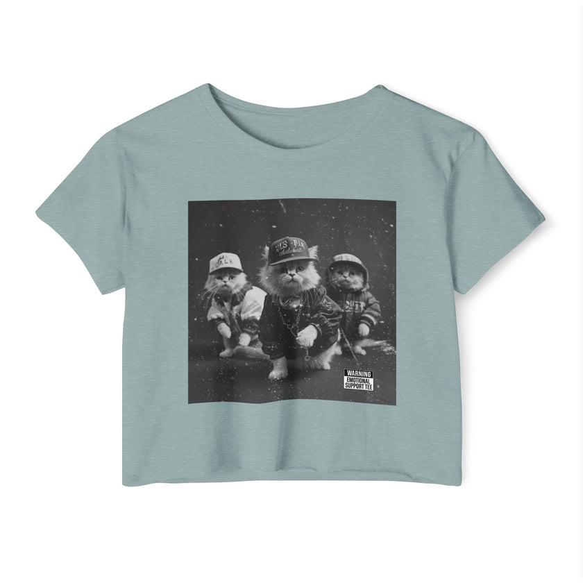 Hip Hop Kittens 90s Album Cover Crop Top | Funny Cat Graphic Tee – 3D Sons Supply Co