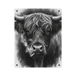 Smoking Highland Cow Acrylic Wall Art Panel | Black White Highland Bull Print