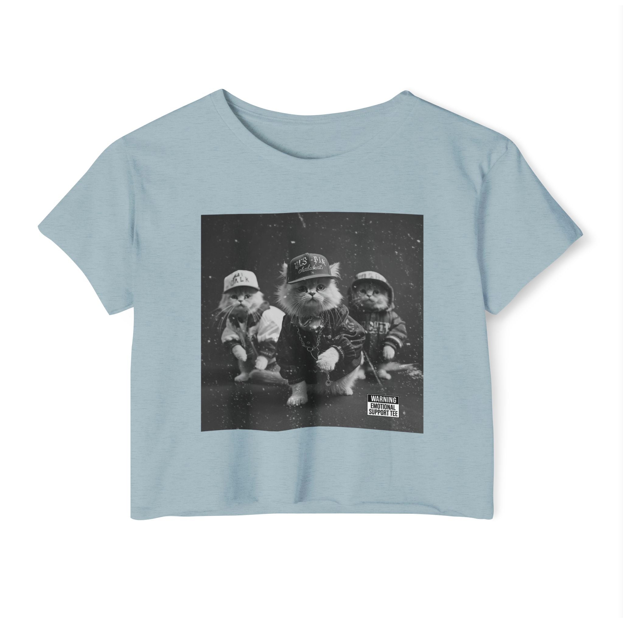 Hip Hop Kittens 90s Album Cover Crop Top | Funny Cat Graphic Tee – 3D Sons Supply Co