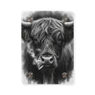 Smoking Highland Cow Acrylic Wall Art Panel | Black White Highland Bull Print