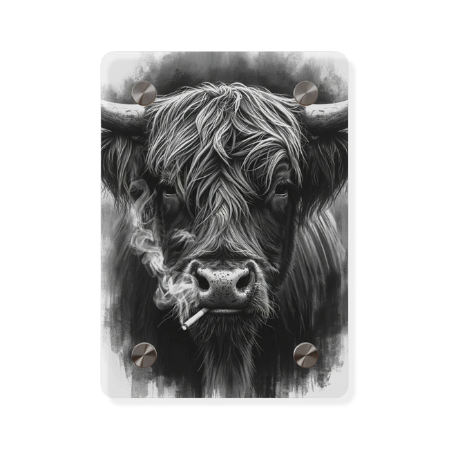 Smoking Highland Cow Acrylic Wall Art Panel | Black White Highland Bull Print
