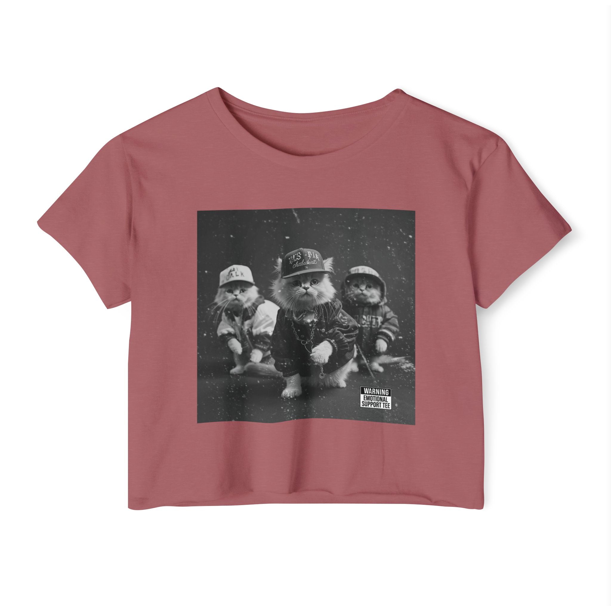Hip Hop Kittens 90s Album Cover Crop Top | Funny Cat Graphic Tee – 3D Sons Supply Co