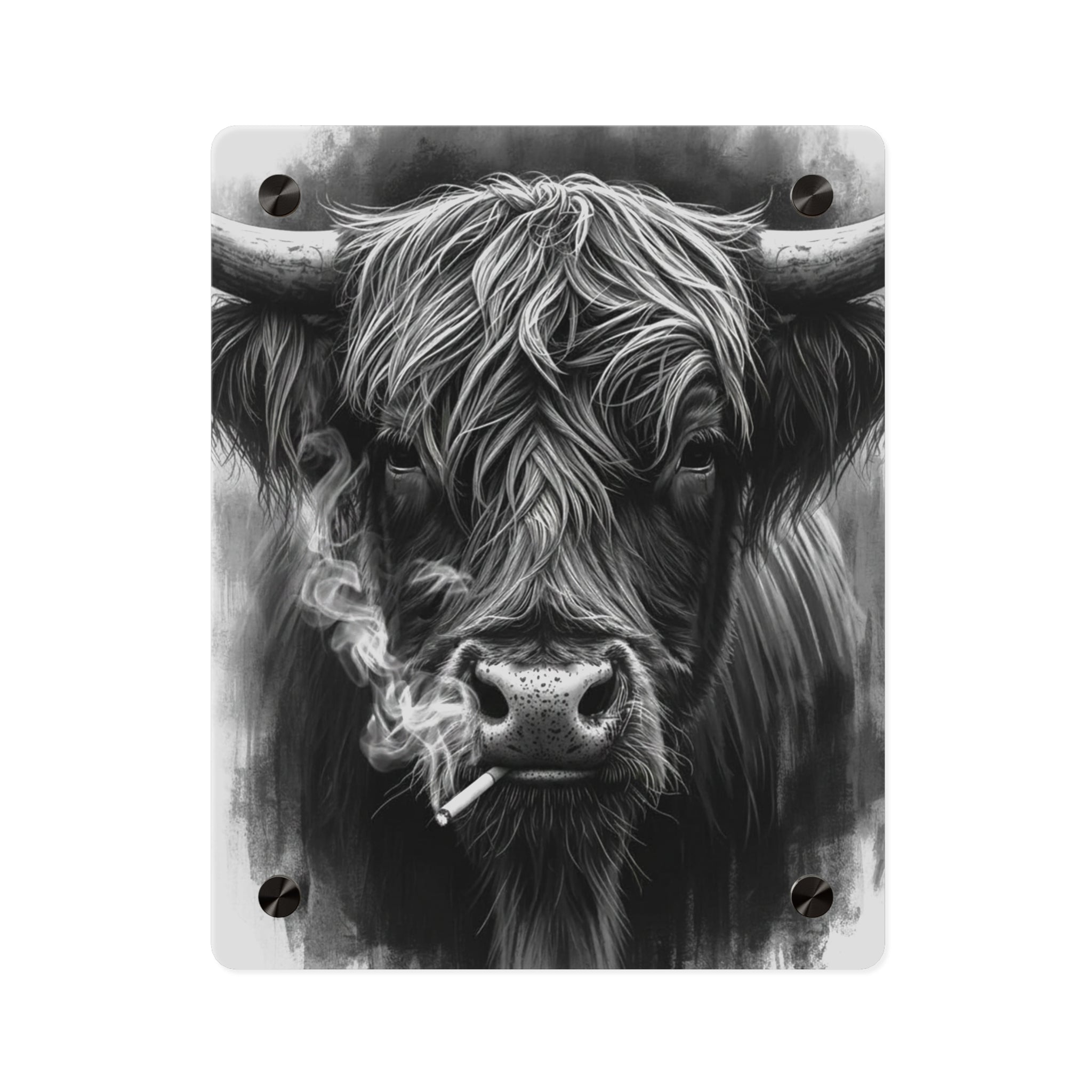 Smoking Highland Cow Acrylic Wall Art Panel | Black White Highland Bull Print
