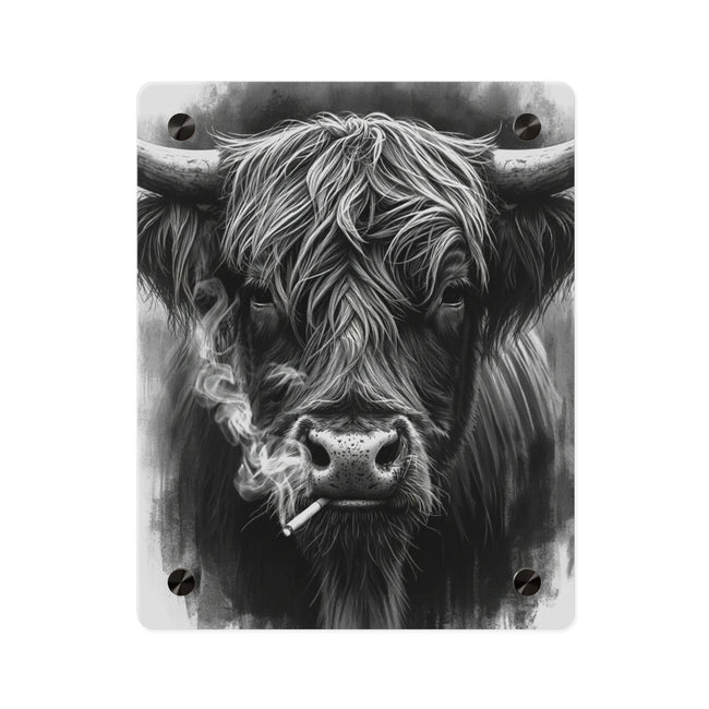 Smoking Highland Cow Acrylic Wall Art Panel | Black White Highland Bull Print
