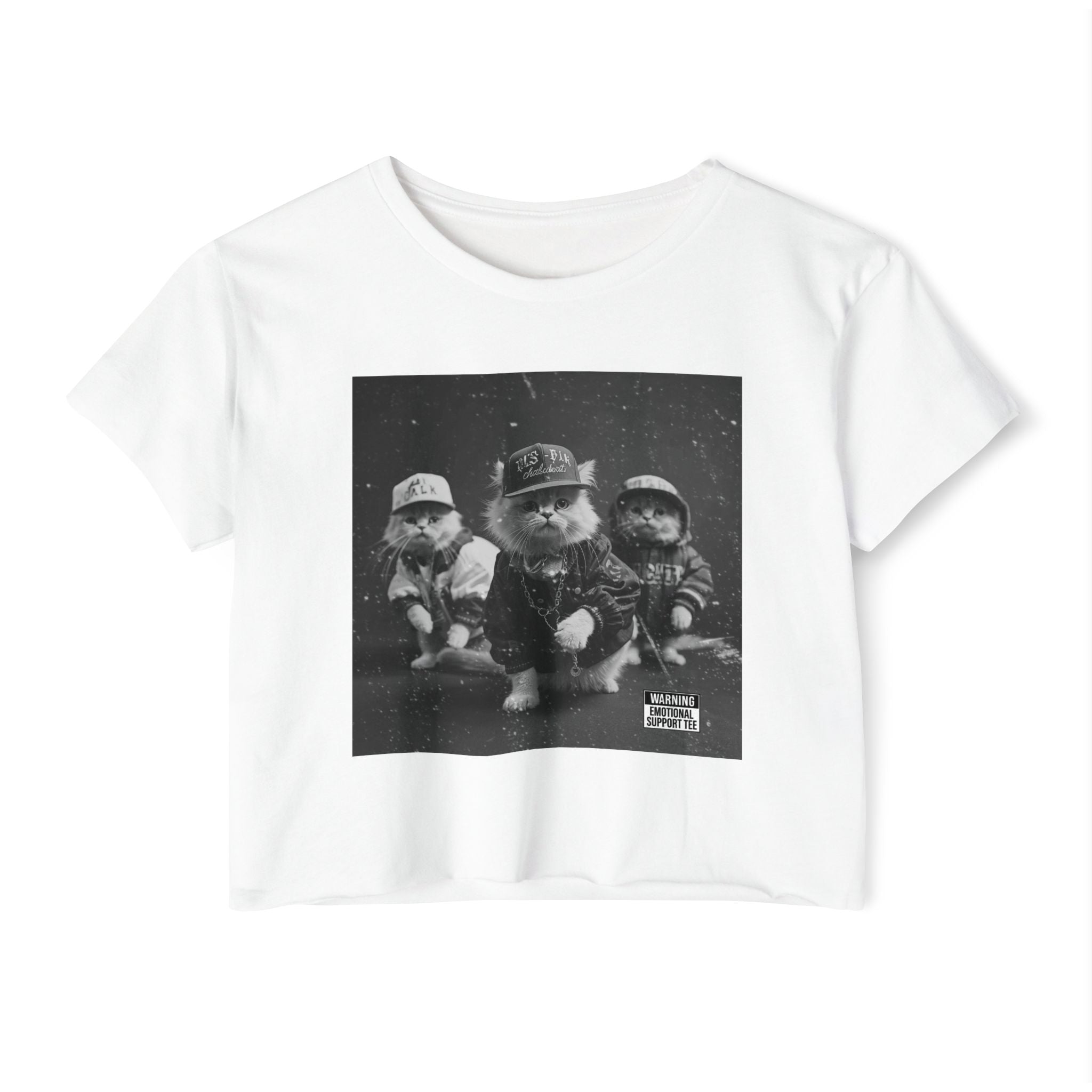 Hip Hop Kittens 90s Album Cover Crop Top | Funny Cat Graphic Tee – 3D Sons Supply Co