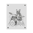 French Bulldog Playing Drums Acrylic Wall Art Panel