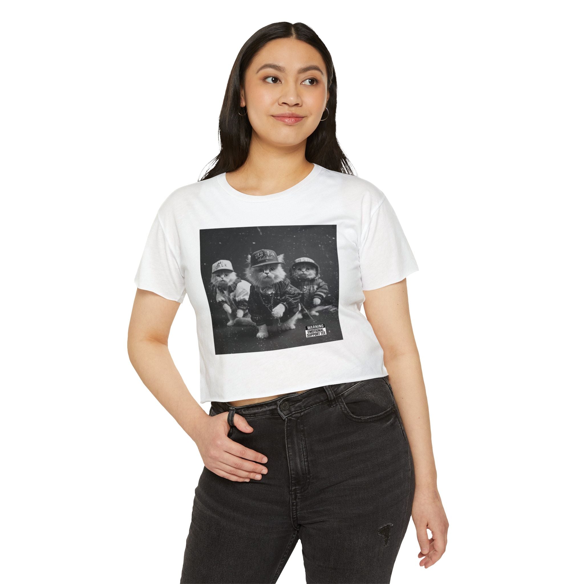 Hip Hop Kittens 90s Album Cover Crop Top | Funny Cat Graphic Tee – 3D Sons Supply Co